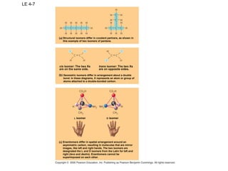 LE 4-7
Structural isomers differ in covalent partners, as shown in
this example of two isomers of pentane.
Geometric isomers differ in arrangement about a double
bond. In these diagrams, X represents an atom or group of
atoms attached to a double-bonded carbon.
cis isomer: The two Xs
are on the same side.
trans isomer: The two Xs
are on opposite sides.
L isomer D isomer
Enantiomers differ in spatial arrangement around an
asymmetric carbon, resulting in molecules that are mirror
images, like left and right hands. The two isomers are
designated the L and D isomers from the Latin for left and
right (levo and dextro). Enantiomers cannot be
superimposed on each other.
 