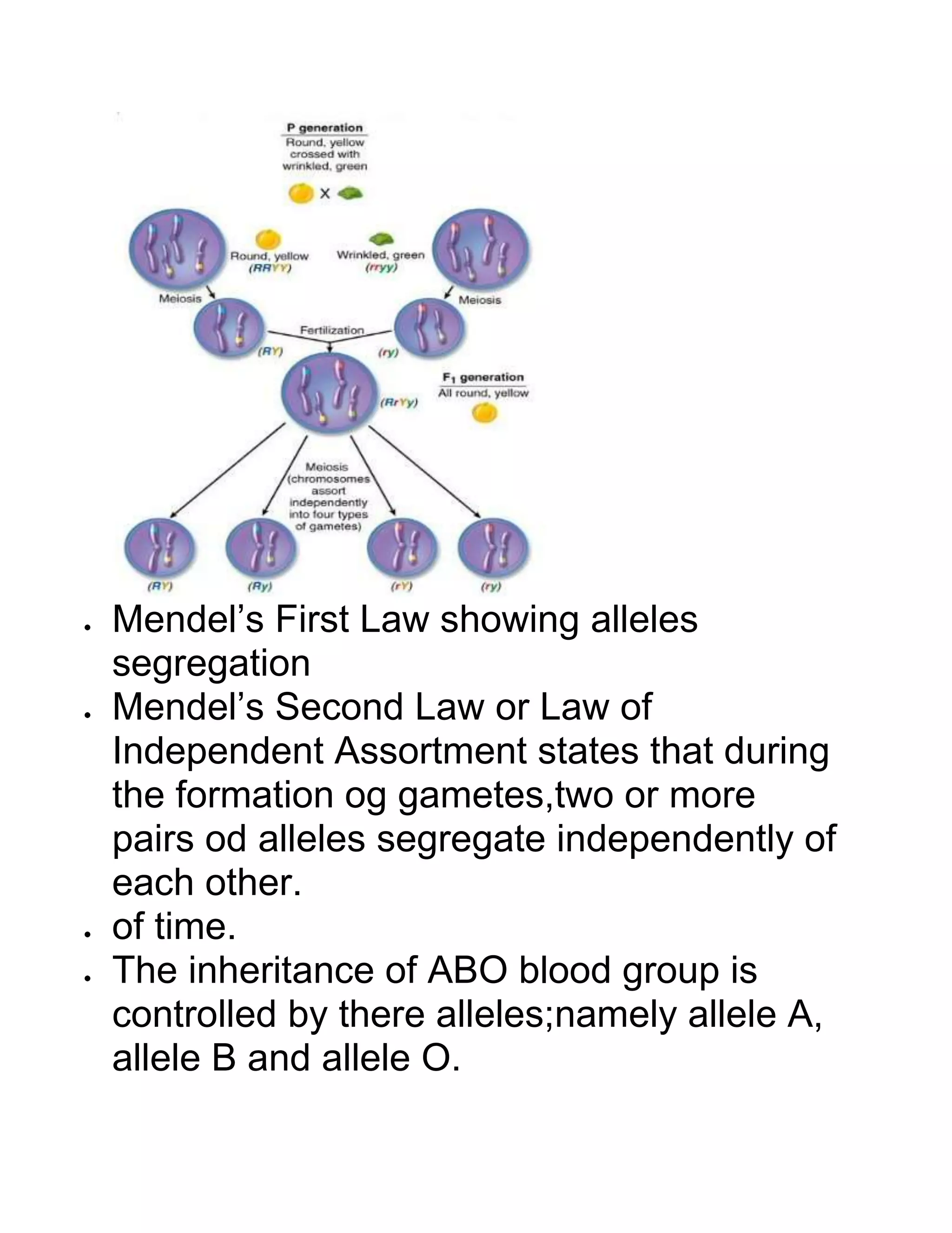 Bio chapter 5 | DOCX