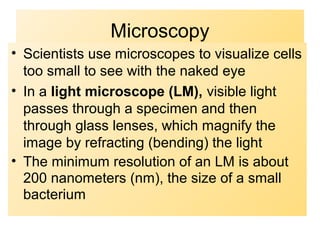 Microscopy
• Scientists use microscopes to visualize cells
too small to see with the naked eye
• In a light microscope (LM), visible light
passes through a specimen and then
through glass lenses, which magnify the
image by refracting (bending) the light
• The minimum resolution of an LM is about
200 nanometers (nm), the size of a small
bacterium
 