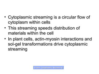 • Cytoplasmic streaming is a circular flow of
cytoplasm within cells
• This streaming speeds distribution of
materials within the cell
• In plant cells, actin-myosin interactions and
sol-gel transformations drive cytoplasmic
streaming
Video: Cytoplasmic StreamingVideo: Cytoplasmic Streaming
 