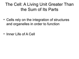The Cell: A Living Unit Greater Than
the Sum of Its Parts
• Cells rely on the integration of structures
and organelles in order to function
• Inner Life of A Cell
 