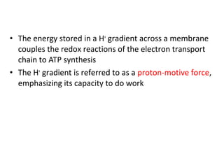 • The energy stored in a H+
gradient across a membrane
couples the redox reactions of the electron transport
chain to ATP synthesis
• The H+
gradient is referred to as a proton-motive force,
emphasizing its capacity to do work
 