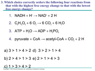 Copyright © 2005 Pearson Education, Inc. publishing as Benjamin Cummings
3. Which choice correctly orders the following four reactions from
that with the highest free energy change to that with the lowest
free energy change?
1. NADH + H+
→ NAD+
+ 2 H
2. C6H12O6 + 6 O2 → 6 CO2 + 6 H2O
3. ATP + H2O → ADP + H3PO4
4. pyruvate + CoA → acetyl-CoA + CO2 + 2 H
a) 3 > 1 > 4 > 2 d) 3 > 2 > 1 > 4
b) 2 > 4 > 1 > 3 e) 2 > 1 > 4 > 3
c) 1 > 3 > 4 > 2
 