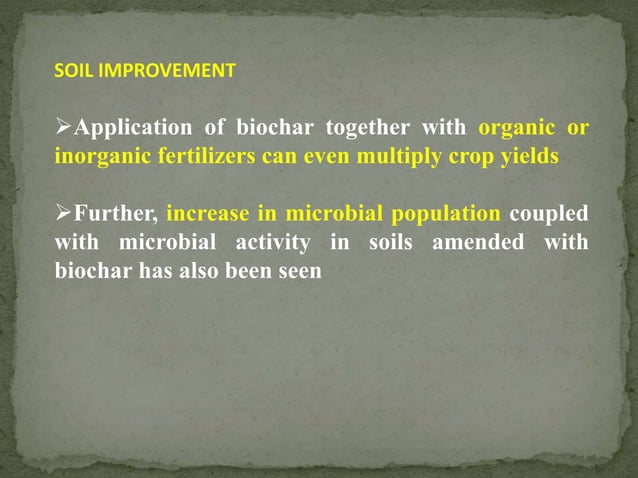 Biochar-1-12-21 (1).pptx