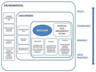POLICY TECHNOLOGY RESEARCH LOCAL PRACTICES CHARCOAL PLUS AMENDMENTS TO SOIL BIOCHAR 