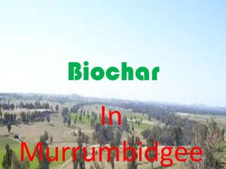 Biochar
     In
Murrumbidgee
 