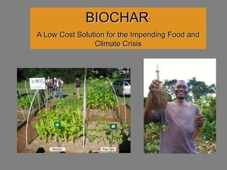 BIOCHAR:
A Low Cost Solution for the Impending Food and
Climate Crisis
 