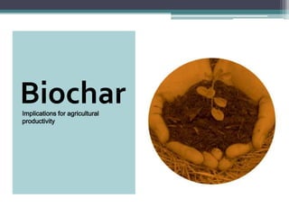 Implications for agricultural
productivity
Biochar
 