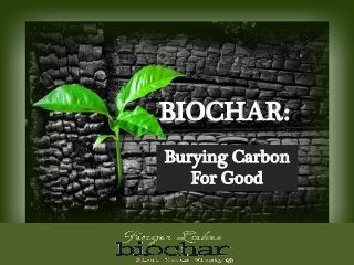 BIOCHAR:
Burying Carbon
For Good
 
