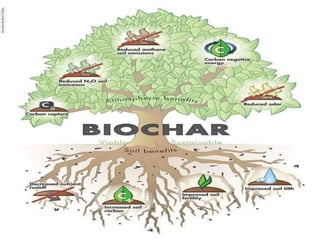 Biochar by Bibek Dev | PPTX
