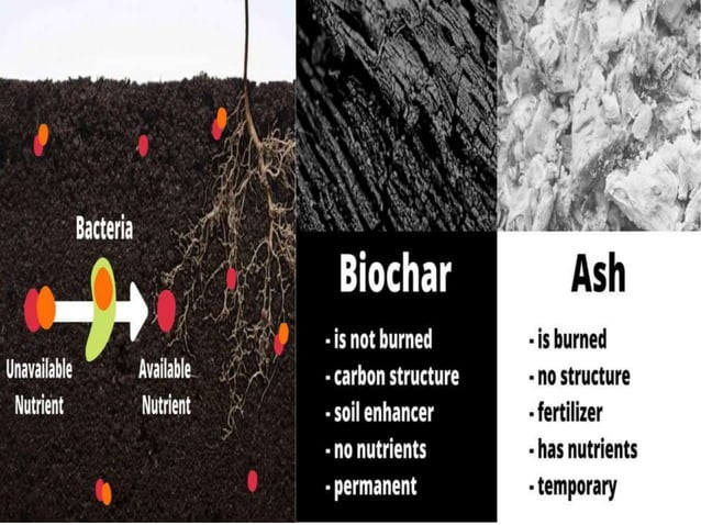 Biochar by Bibek Dev | PPTX