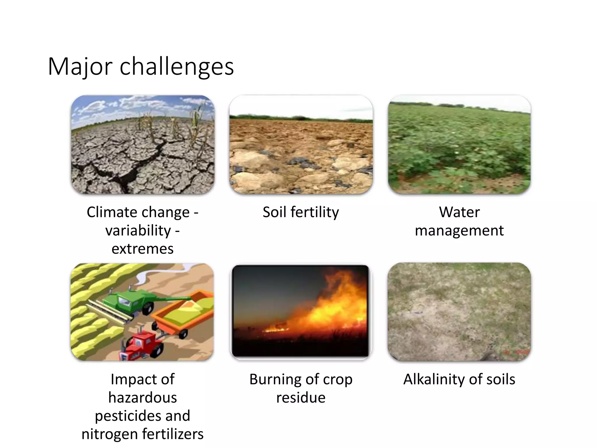 Major challenges
Climate change -
variability -
extremes
Soil fertility Water
management
Impact of
hazardous
pesticides and
nitrogen fertilizers
Burning of crop
residue
Alkalinity of soils
 