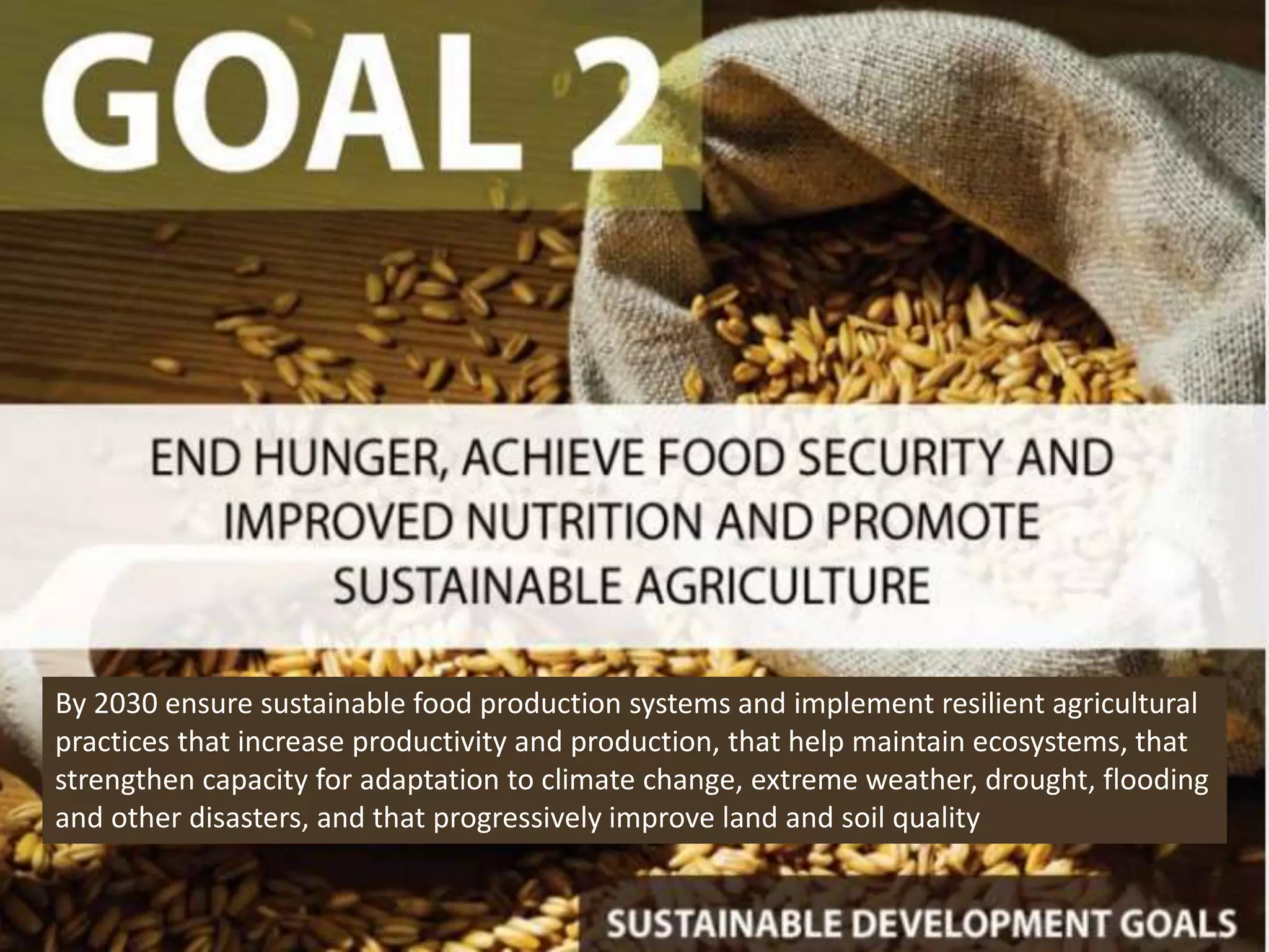 By 2030 ensure sustainable food production systems and implement resilient agricultural
practices that increase productivity and production, that help maintain ecosystems, that
strengthen capacity for adaptation to climate change, extreme weather, drought, flooding
and other disasters, and that progressively improve land and soil quality
 
