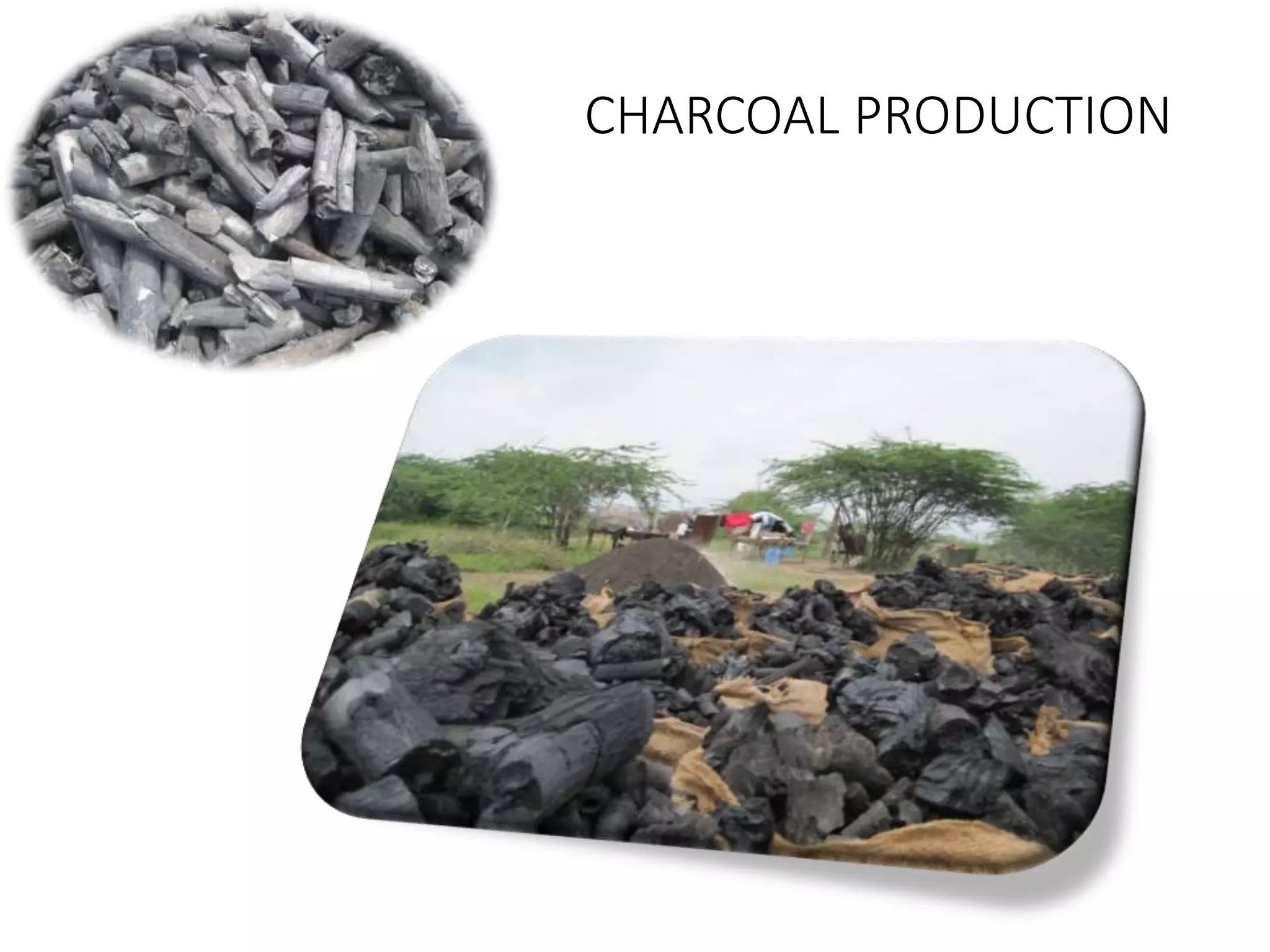 CHARCOAL PRODUCTION
 