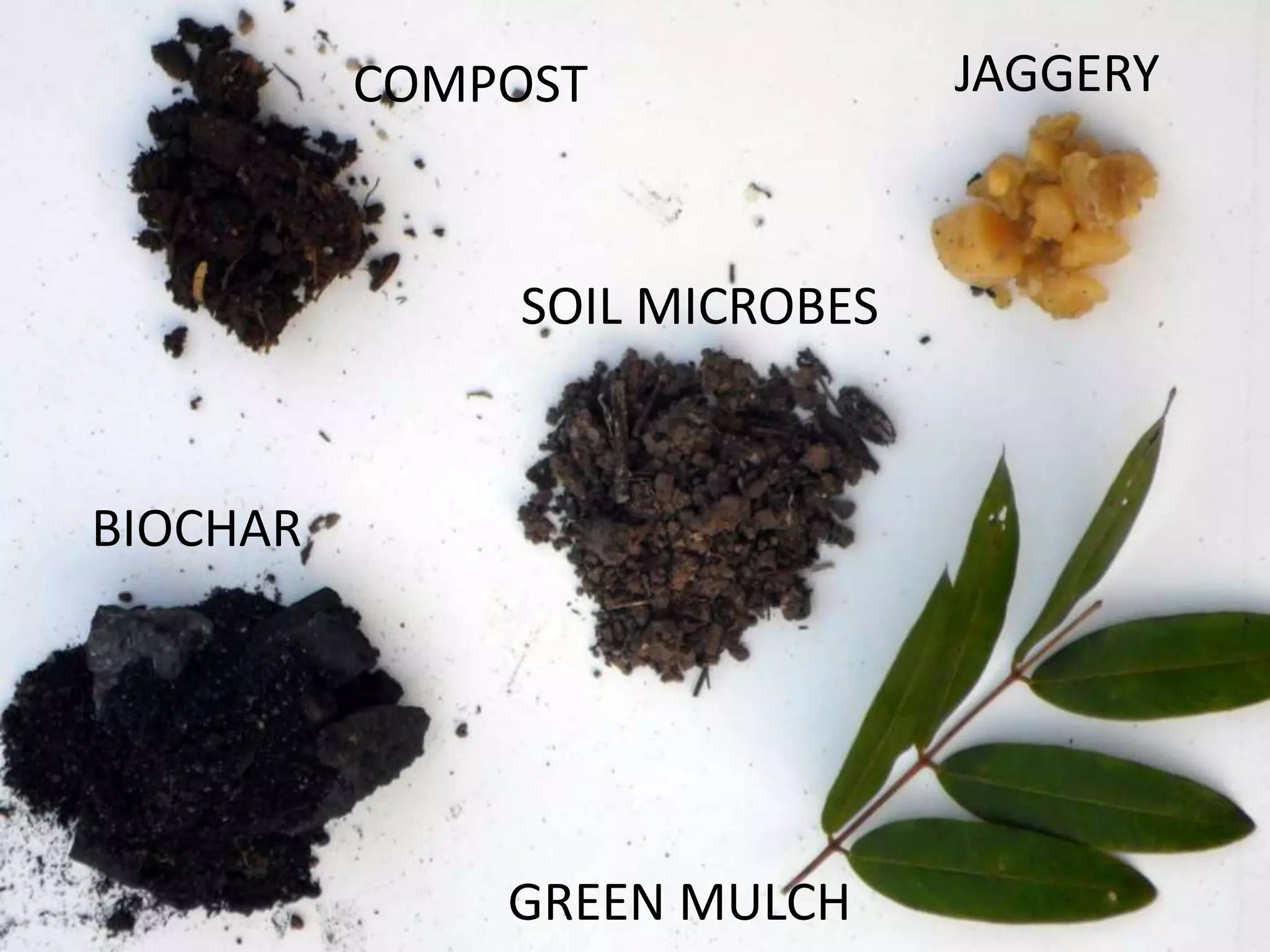 JAGGERYCOMPOST
BIOCHAR
SOIL MICROBES
GREEN MULCH
 