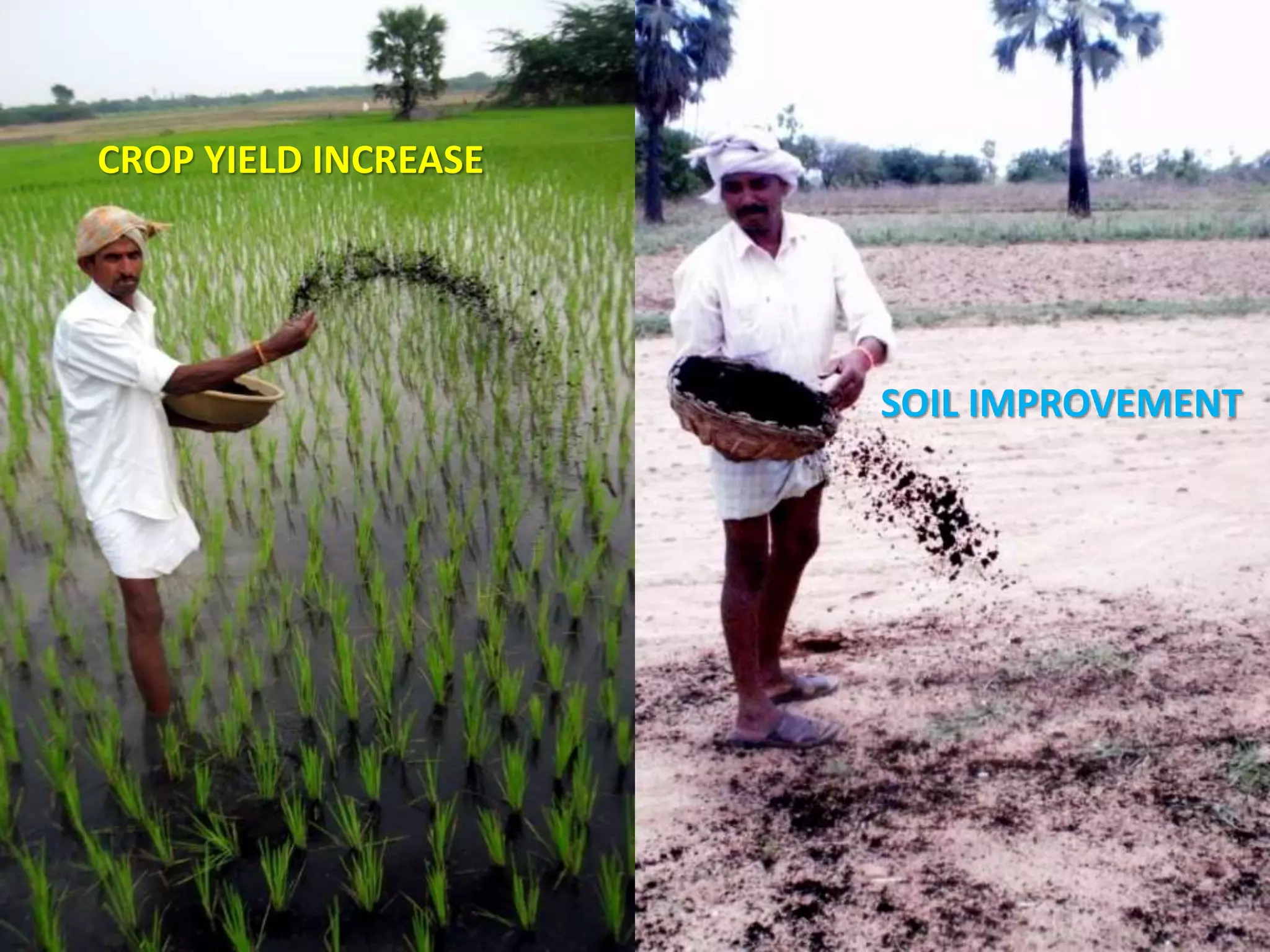 CROP YIELD INCREASE
SOIL IMPROVEMENT
 