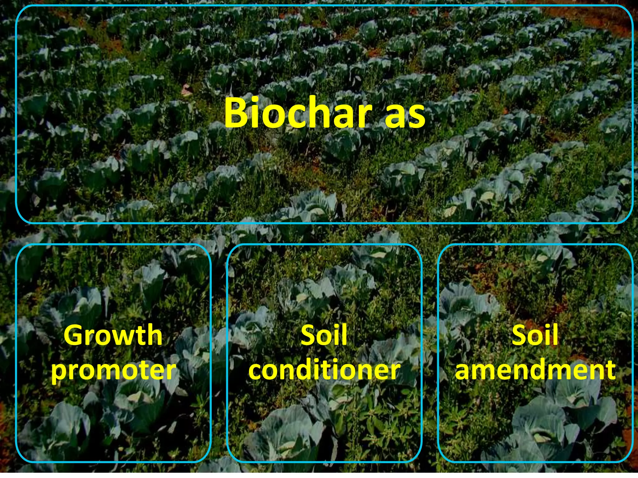 Biochar as
Growth
promoter
Soil
conditioner
Soil
amendment
 