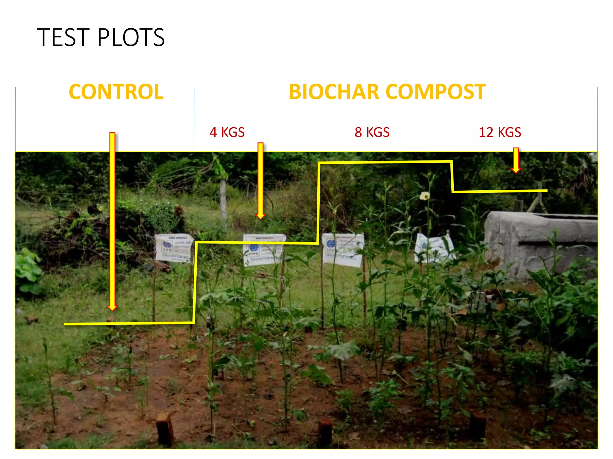 TEST PLOTS
CONTROL BIOCHAR COMPOST
4 KGS 8 KGS 12 KGS
 