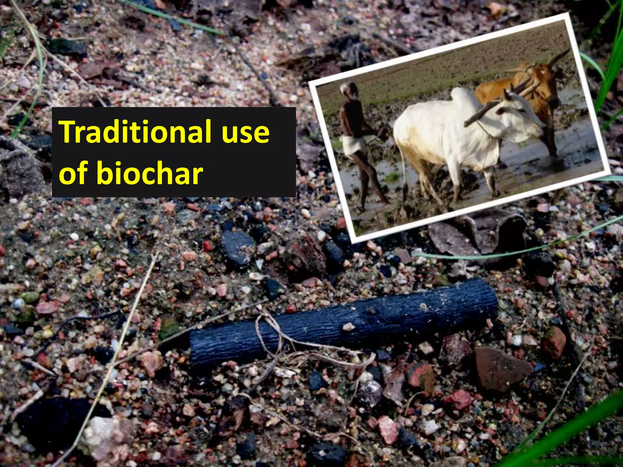 Traditional use
of biochar
 