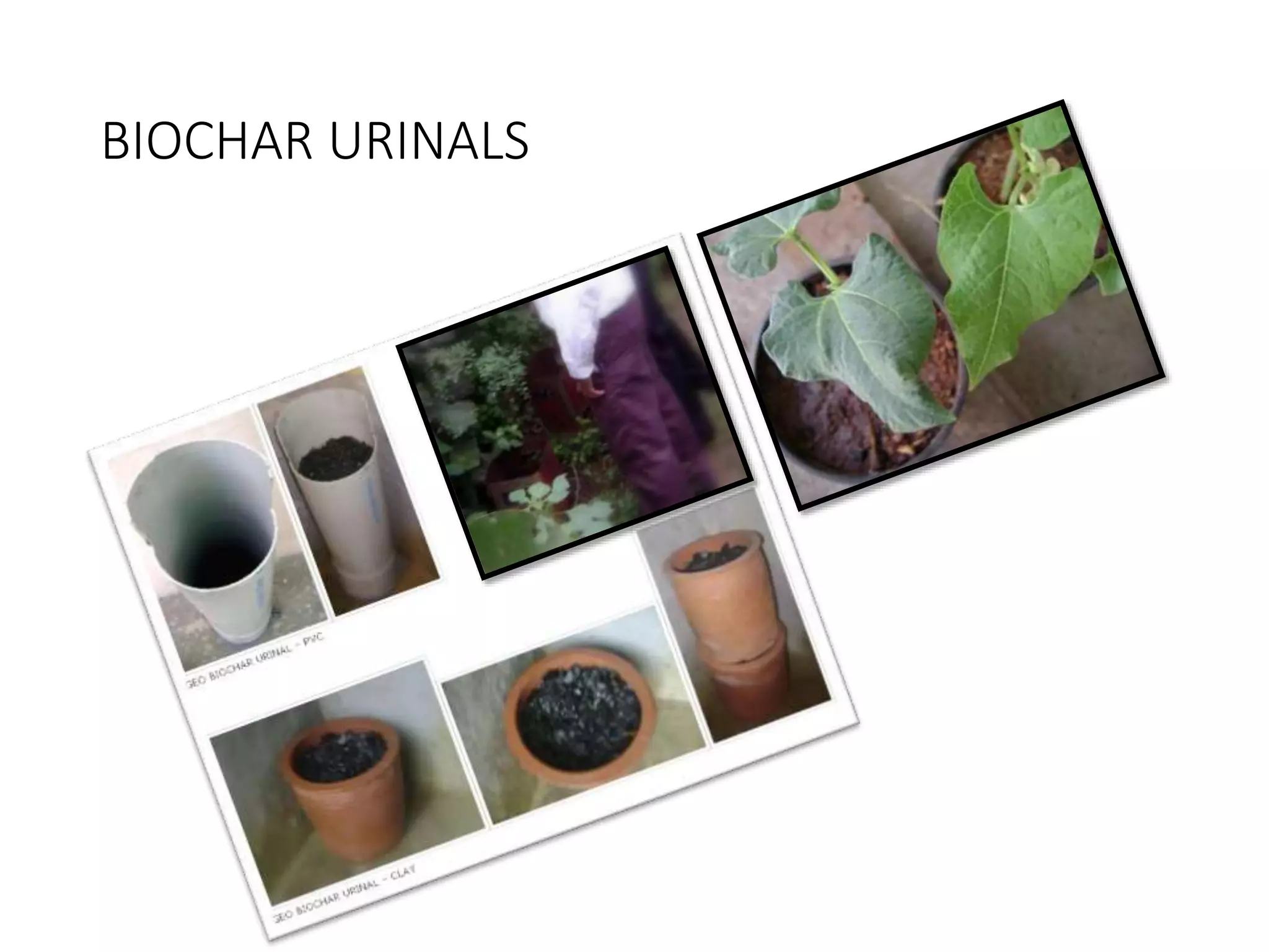 BIOCHAR URINALS
 