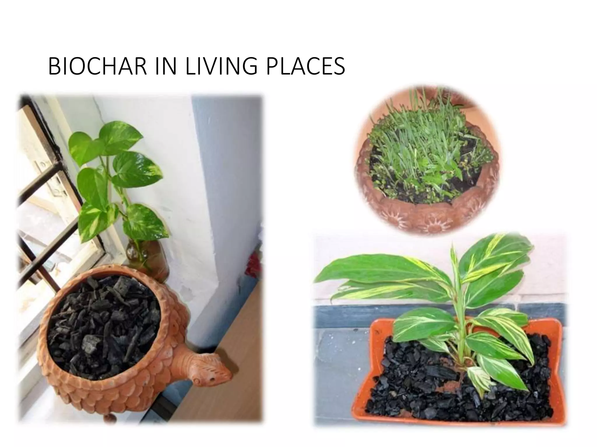 BIOCHAR IN LIVING PLACES
 