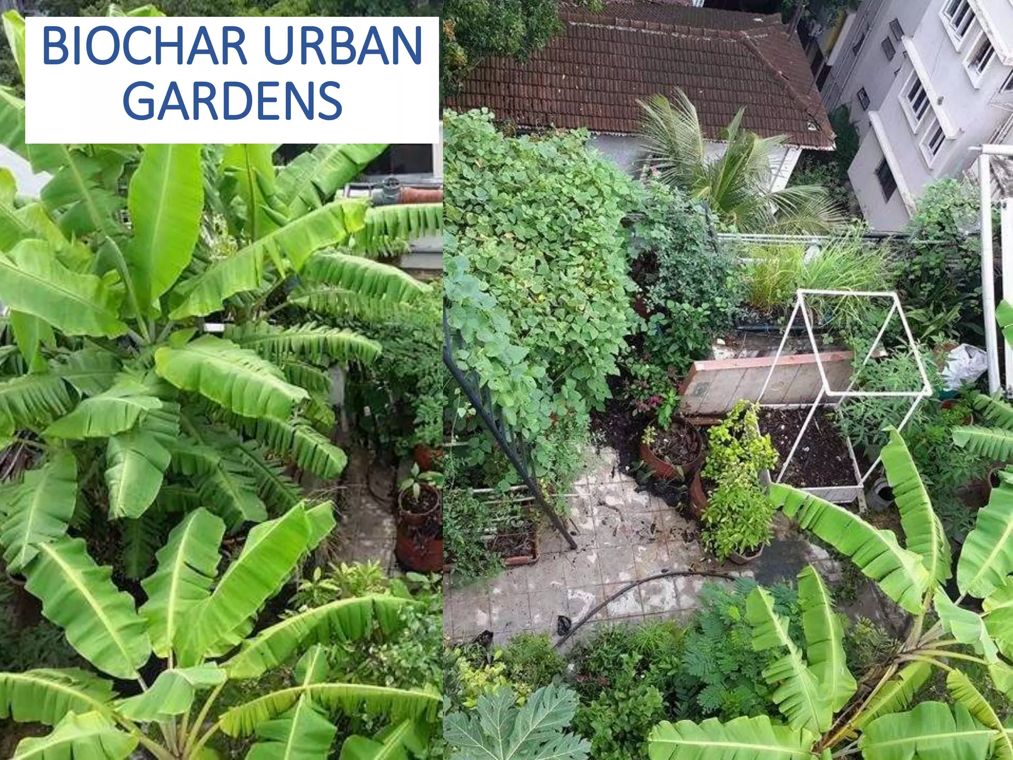 BIOCHAR URBAN
GARDENS
 