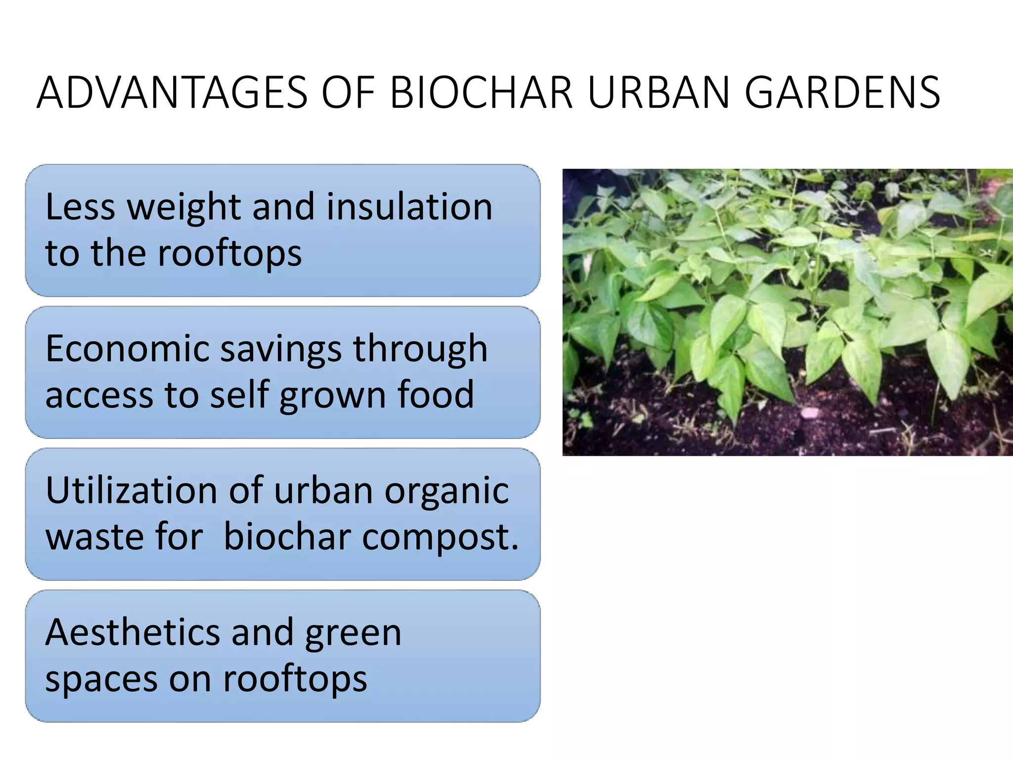 ADVANTAGES OF BIOCHAR URBAN GARDENS
Less weight and insulation
to the rooftops
Economic savings through
access to self grown food
Utilization of urban organic
waste for biochar compost.
Aesthetics and green
spaces on rooftops
 
