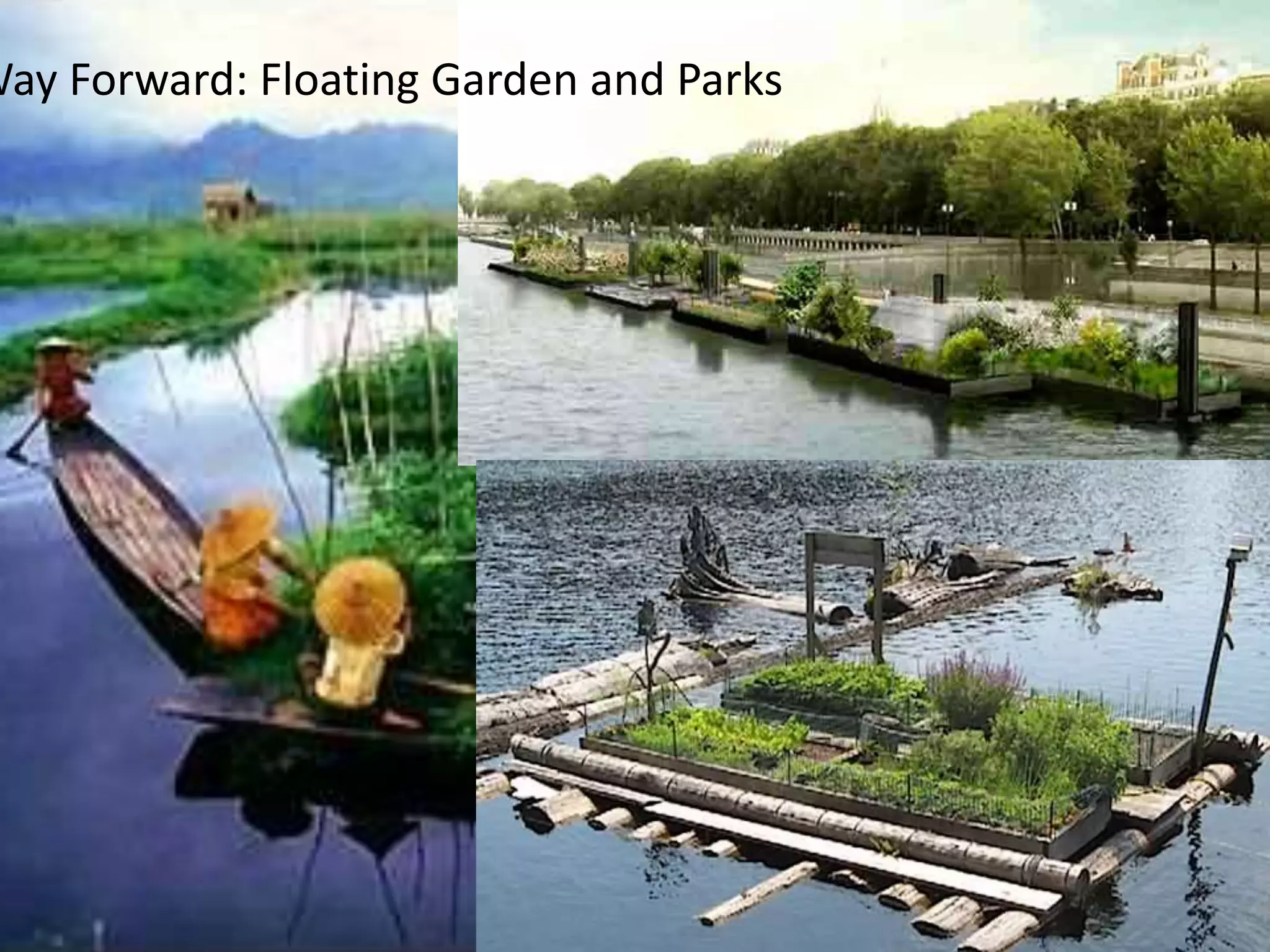 Way Forward: Floating Garden and Parks
 