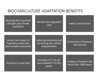 Biochar and soil environment | PPTX