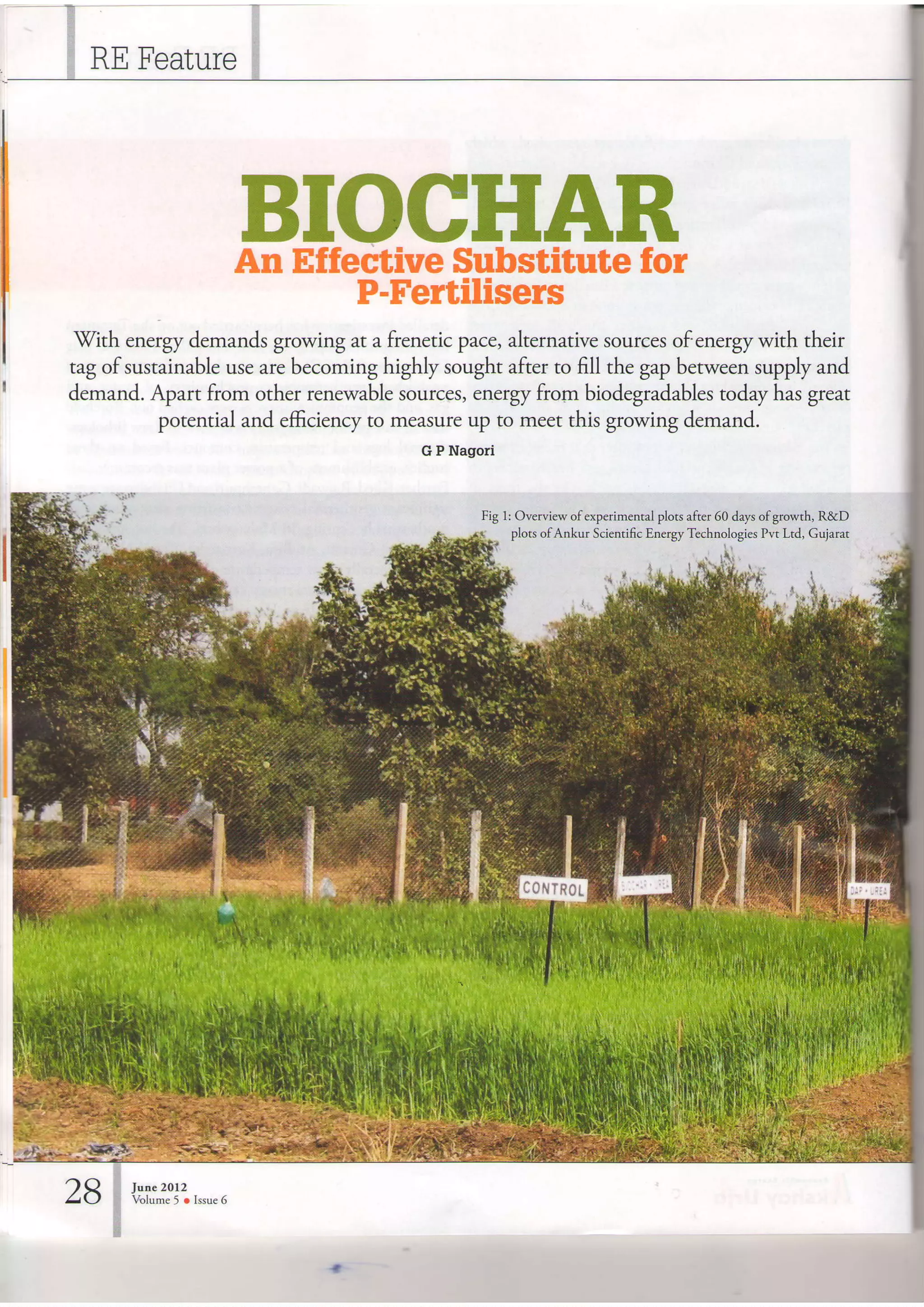 Biochar article of dr. nagori (ankur scientific) | PDF