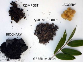 JAGGERYCOMPOST
BIOCHAR
SOIL MICROBES
GREEN MULCH
 