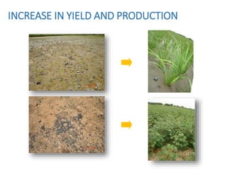 INCREASE IN YIELD AND PRODUCTION
 