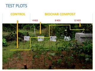 TEST PLOTS
CONTROL BIOCHAR COMPOST
4 KGS 8 KGS 12 KGS
 