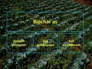 Biochar as
Growth
promoter
Soil
conditioner
Soil
amendment
 