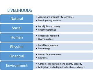LIVELIHOODS
• Agriculture productivity increases
• Low input agricultureNatural
• Local jobs and equity
• Local enterprisesSocial
• Least skills required
• BiocharcultureHuman
• Local technologies
• Low energyPhysical
• Low carbon economy
• Low costFinancial
• Carbon sequestration and energy security
• Mitigation and adaptation to climate changeEnvironment
 