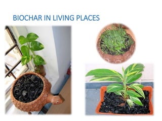 BIOCHAR IN LIVING PLACES
 