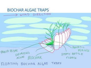 BIOCHAR ALGAE TRAPS
 