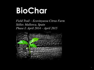 1
BioChar
Field Trail – Ecovinyassa Citrus Farm
Sóller, Mallorca, Spain
Phase I: April 2014 – April 2015
 