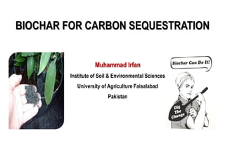 Muhammad Irfan
Institute of Soil & Environmental Sciences
University of Agriculture Faisalabad
Pakistan
BIOCHAR FOR CARBON SEQUESTRATION
 