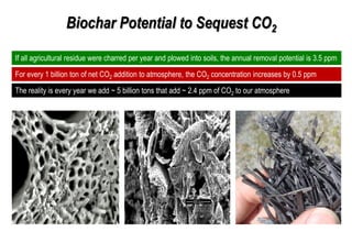 Biochar for Carbon Sequestration.pdf