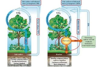 Timelines for Carbon Transformations &
Permanence
CO2
Biomass
(living and dead)
Natural short-term cycle of
growth and dec...