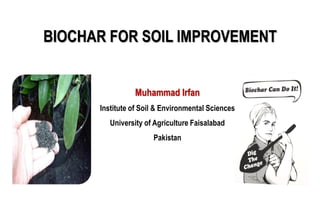 Muhammad Irfan
Institute of Soil & Environmental Sciences
University of Agriculture Faisalabad
Pakistan
BIOCHAR FOR SOIL IMPROVEMENT
 