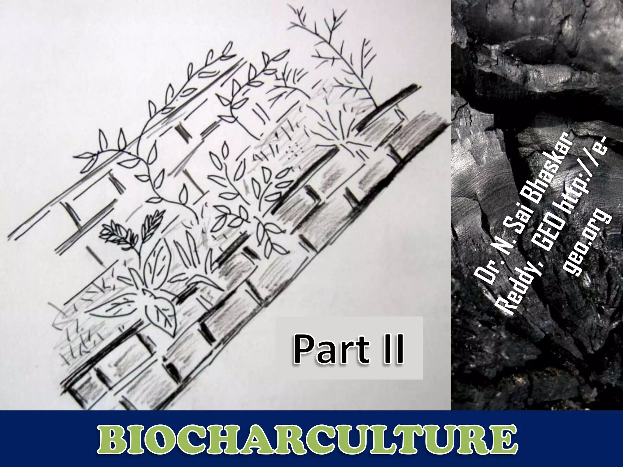 Biochar part 2 | PPTX