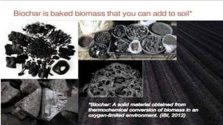 Biochar as Soil Conditioner | PPTX