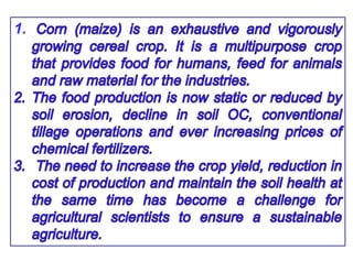 Biochar preparation and effect of biochars on corn growth, yield ...