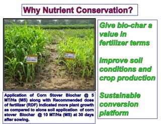 Biochar preparation and effect of biochars on corn growth, yield ...