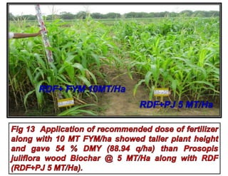 Biochar preparation and effect of biochars on corn growth, yield ...