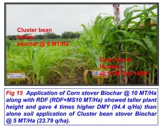 Biochar preparation and effect of biochars on corn growth, yield ...