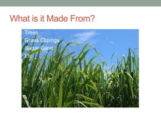What is it Made From?
  • Trees
  • Grass Clipings
  • Sugar Cane
  • Etc.
 
