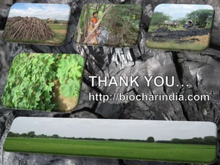 THANK YOU…<br />http://biocharindia.com<br />